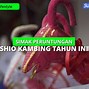 Shio Kambing Desember 2022 Lengkap Dengan Weton Jawanya